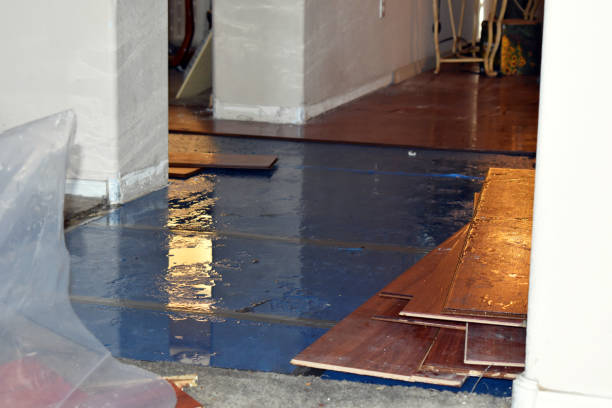 Professional Water Extraction technician working in Coral, MI